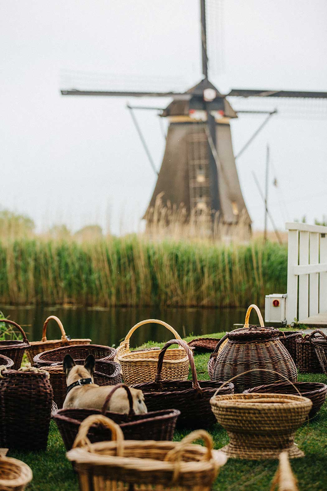 Best Day Trip from Amsterdam Dutch Windmill Kinderdijk