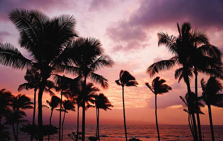 Best-Hotels-in-Honolulu-Hawaii