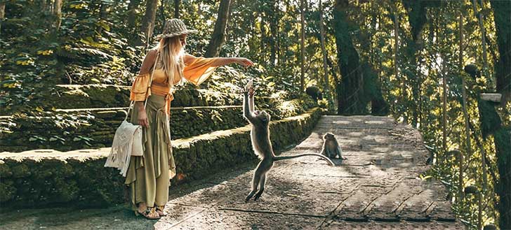 Best Things to Do in Bali Sacred Monkey Forest Ubud