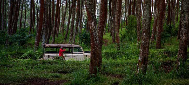 Best Things to Do in Indonesia -Off Roading Jeep Bandung