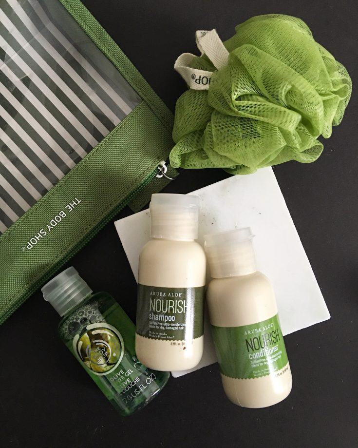 carry on beauty essentials from the body shop and aruba aloe