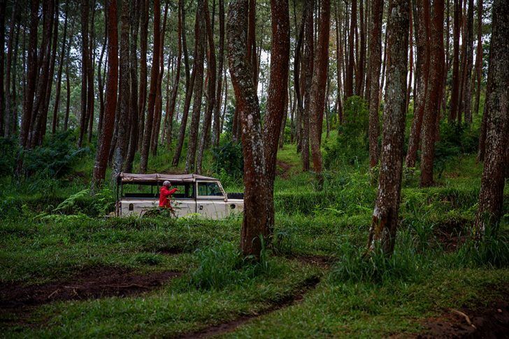 best things to do in bandung indonesia
