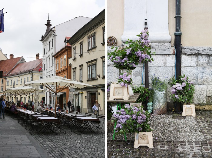 Eastern Europe Travel Tourist City Architecture Flower Lavender Street Cafe Lunch