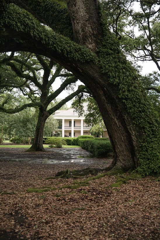New Orleans Day Trip to Oak Alley Plantation Louisiana spanish oak trees with live moss