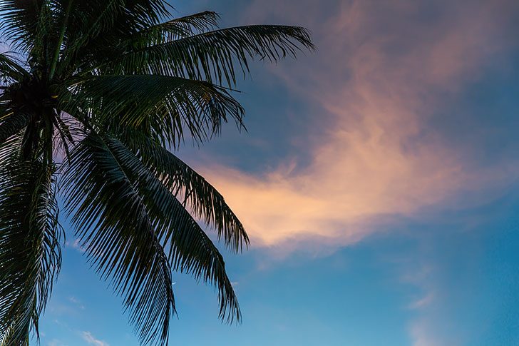 stunning photos of raja ampat, indonesia untouched paradise