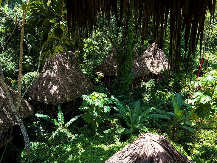 top things to do in samana dominican republic dominican tree house ziplining 7 reasons to visit samana dominican republic ziplining