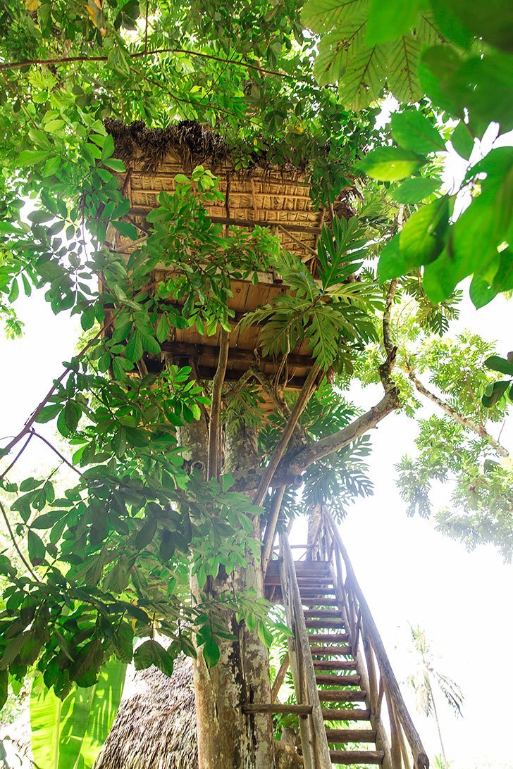 7 reasons to visit samana dominican republic dominican tree house village ziplining