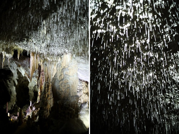 karst rock underground slovene Postojnska jama caves stalagmite stalactites