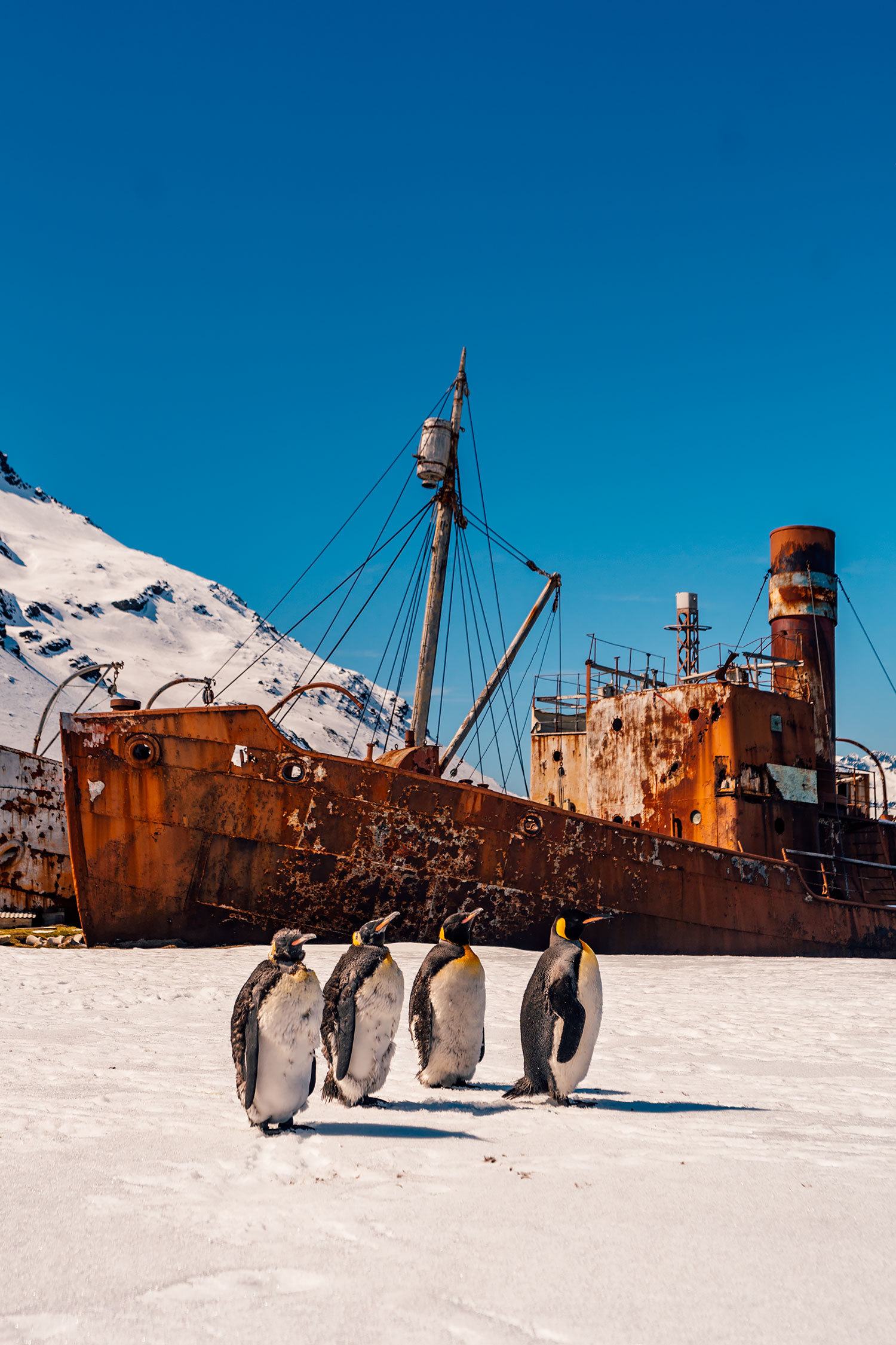 South Georgia Island