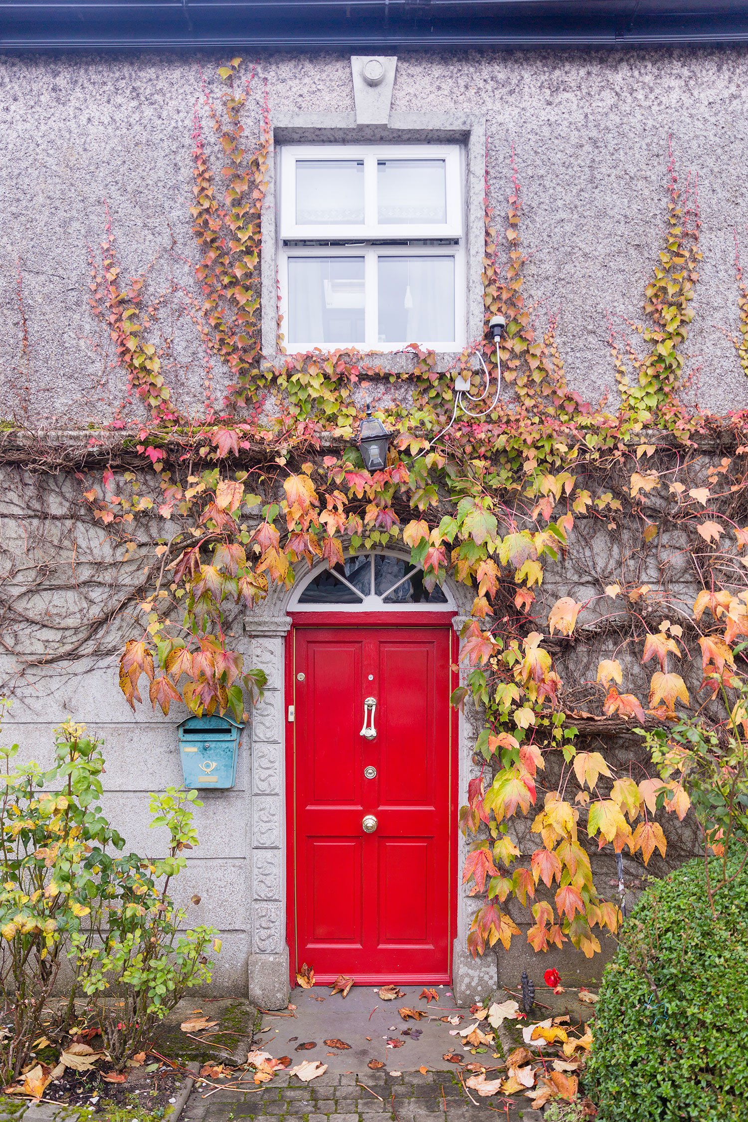 Park Place Apartments | Self Catering in Killarney