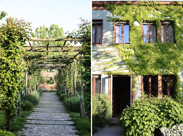 europe travel architecture bauer palladio exterior garden courtyard door ivy bush shrub green canopy