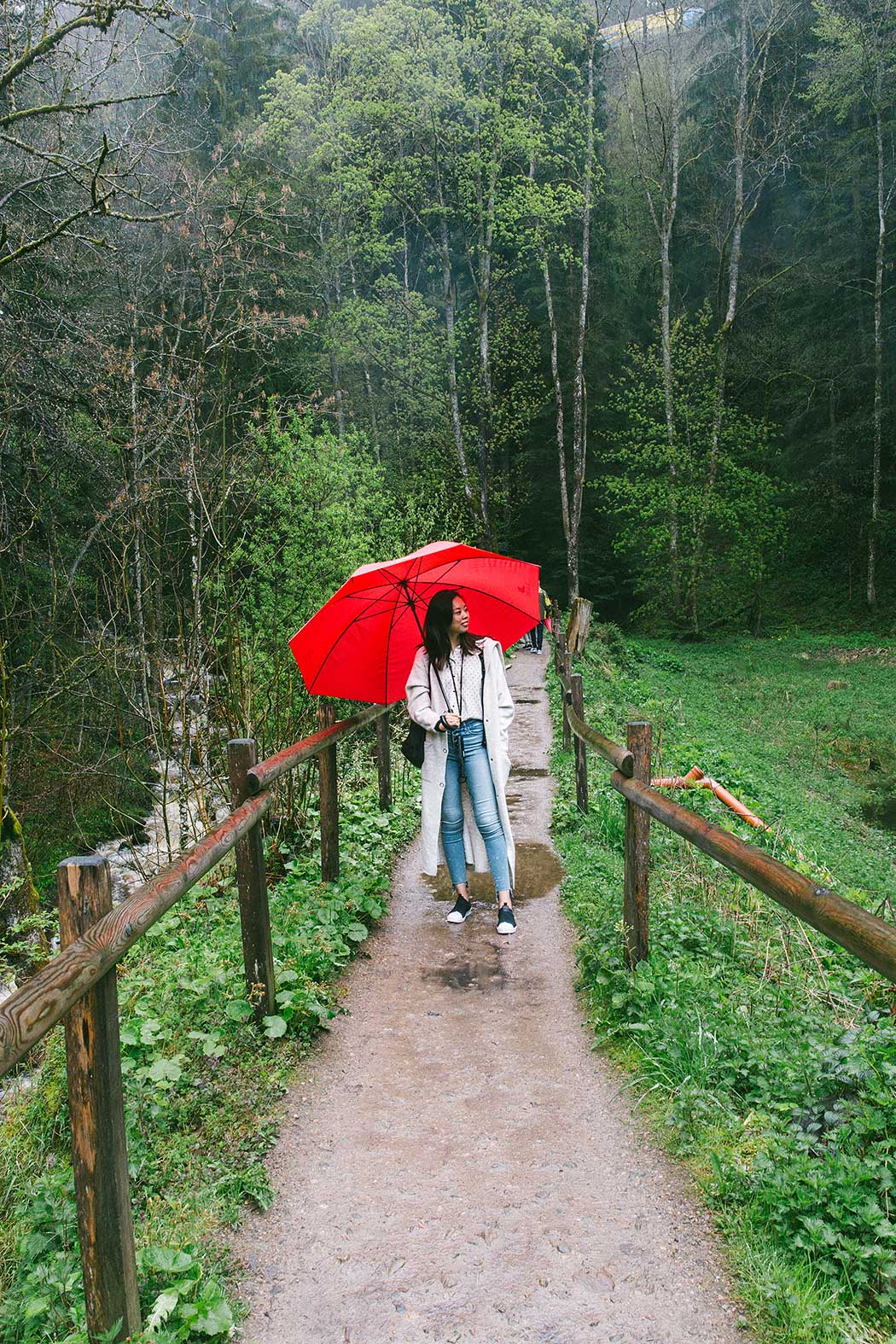 rain and umbrella