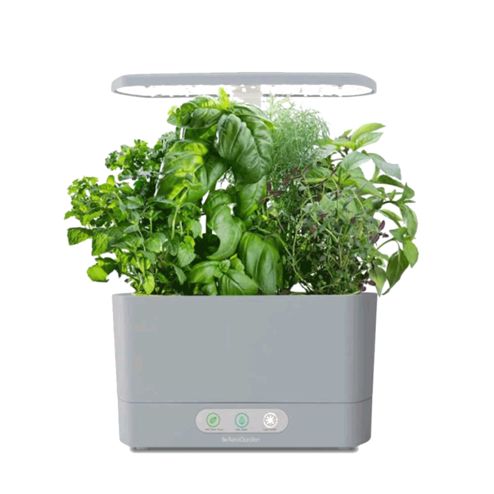AeroGarden Harvest Review From Setup to Herbs in 1 Month
