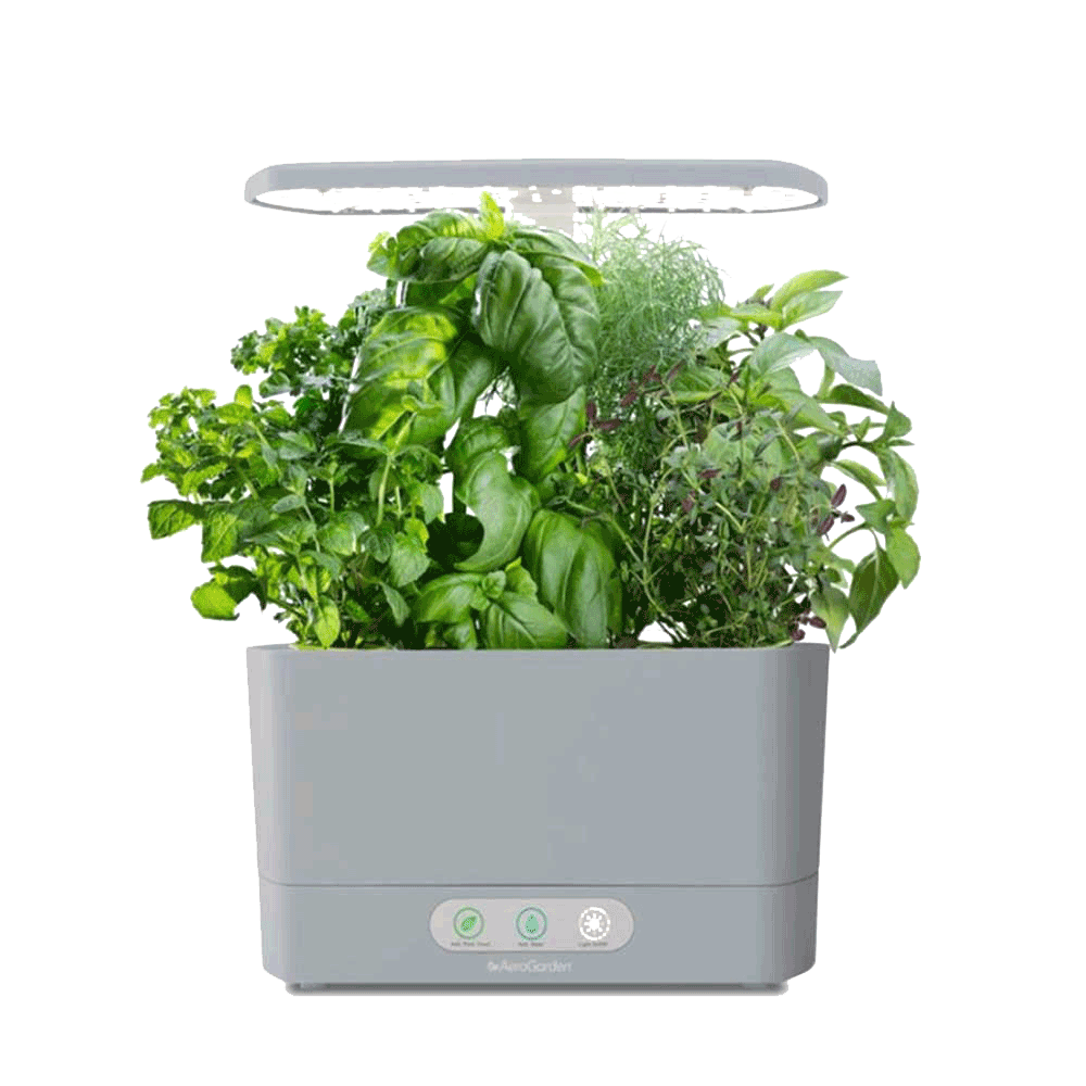 Aerogarden Harvest Review From Setup To Herbs In 1 Month