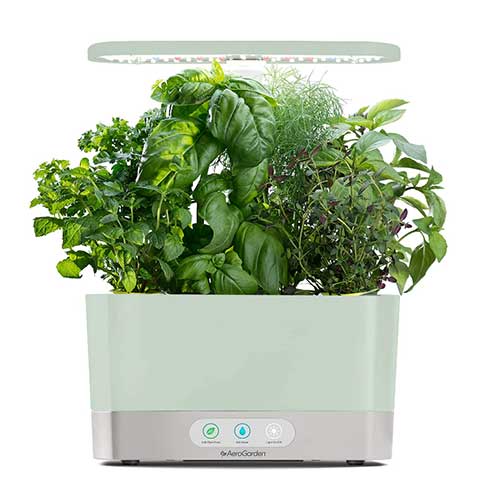 aerogarden-hydroponics