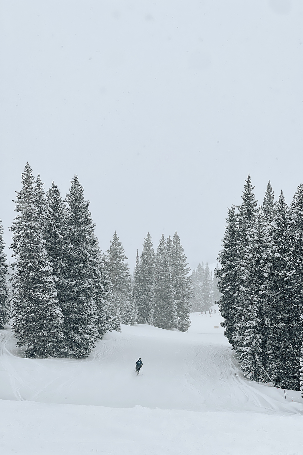 alta-ski-resort-review