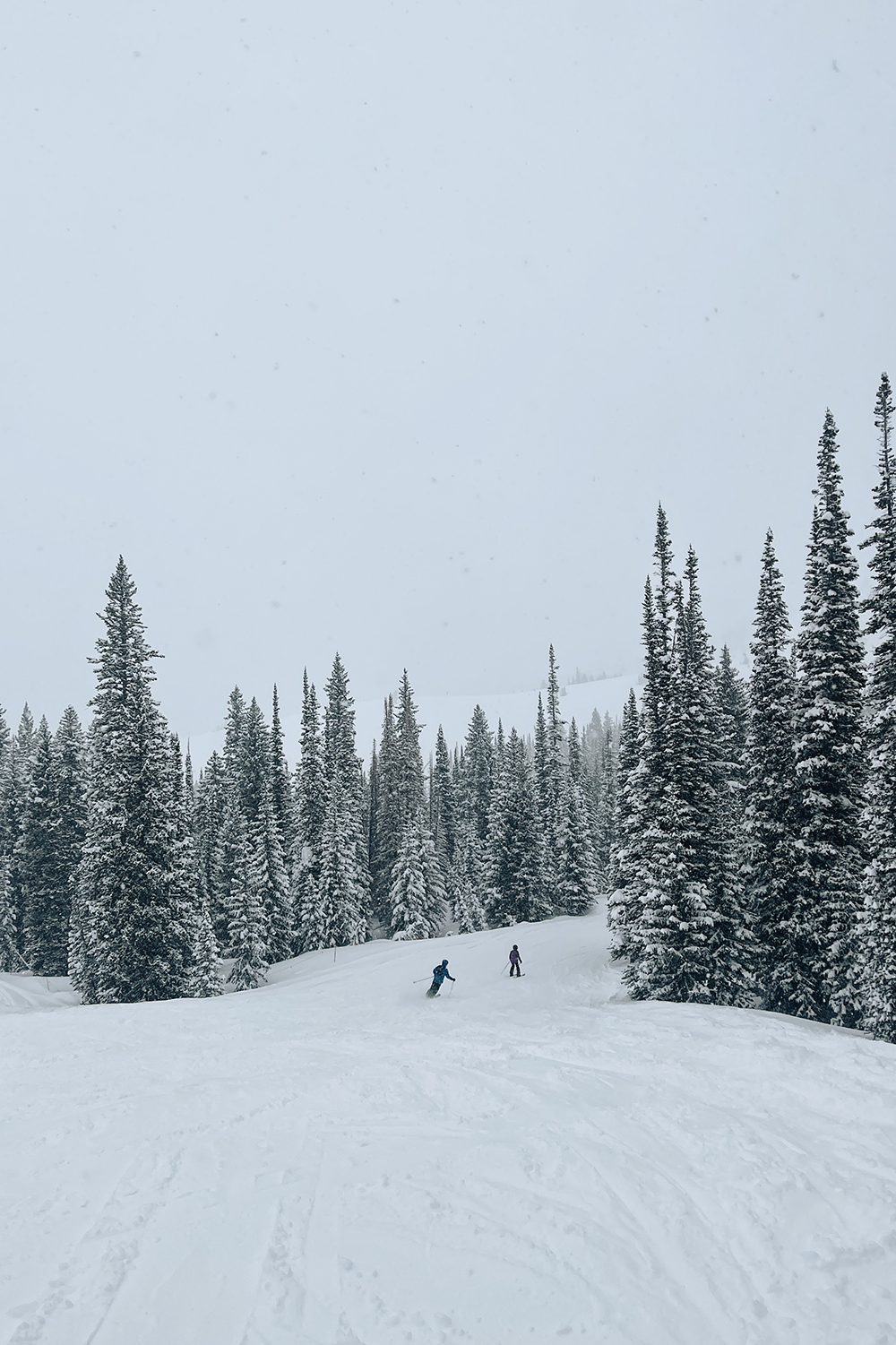 alta-ski-trip-report
