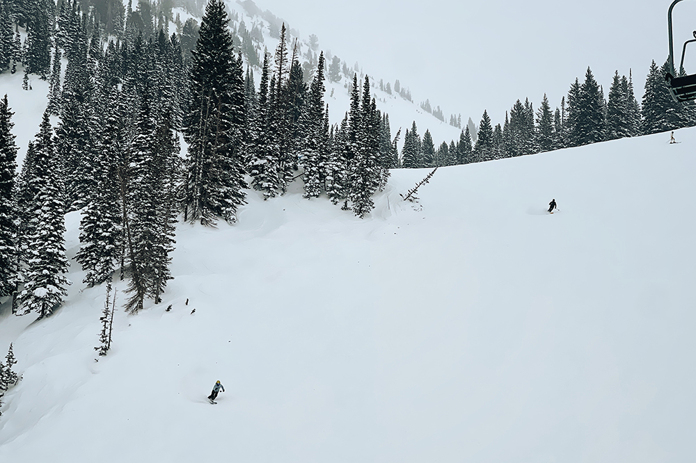 alta-steep-terrain-powder