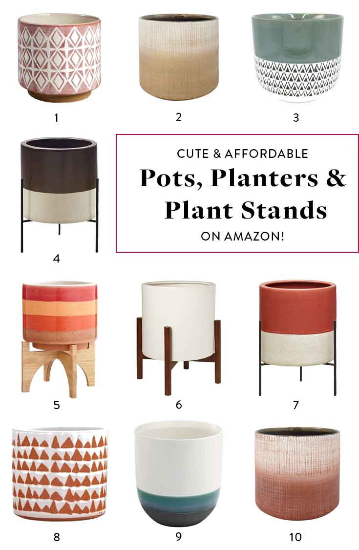 amazon-planters