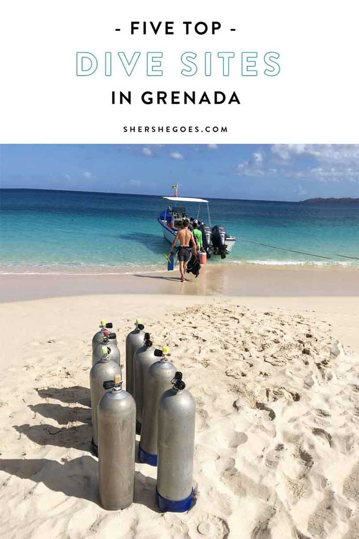 best-dive-sites-in-grenada