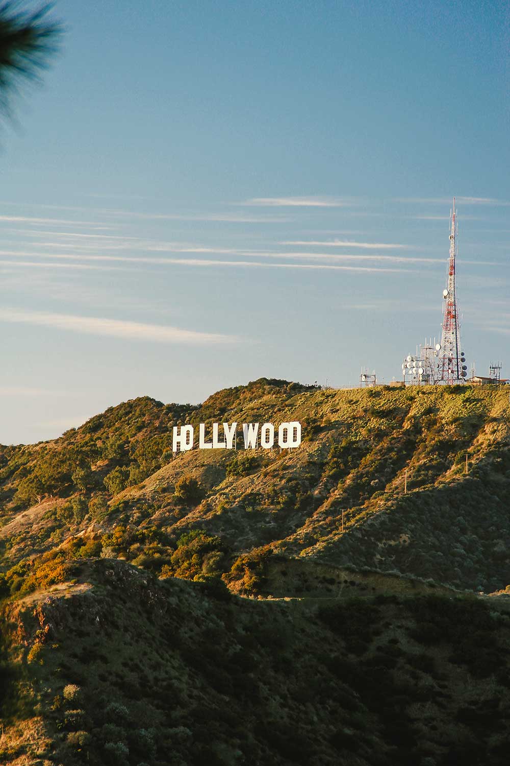 The Best Place To Take Photos Of The Hollywood Sign