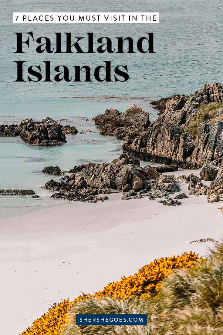 best-places-to-visit-in-the-falkland-islands