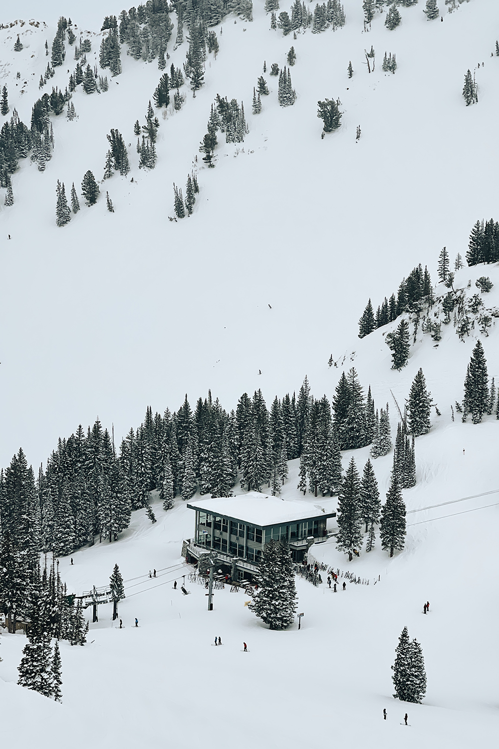 best-skiing-at-alta-ski-area