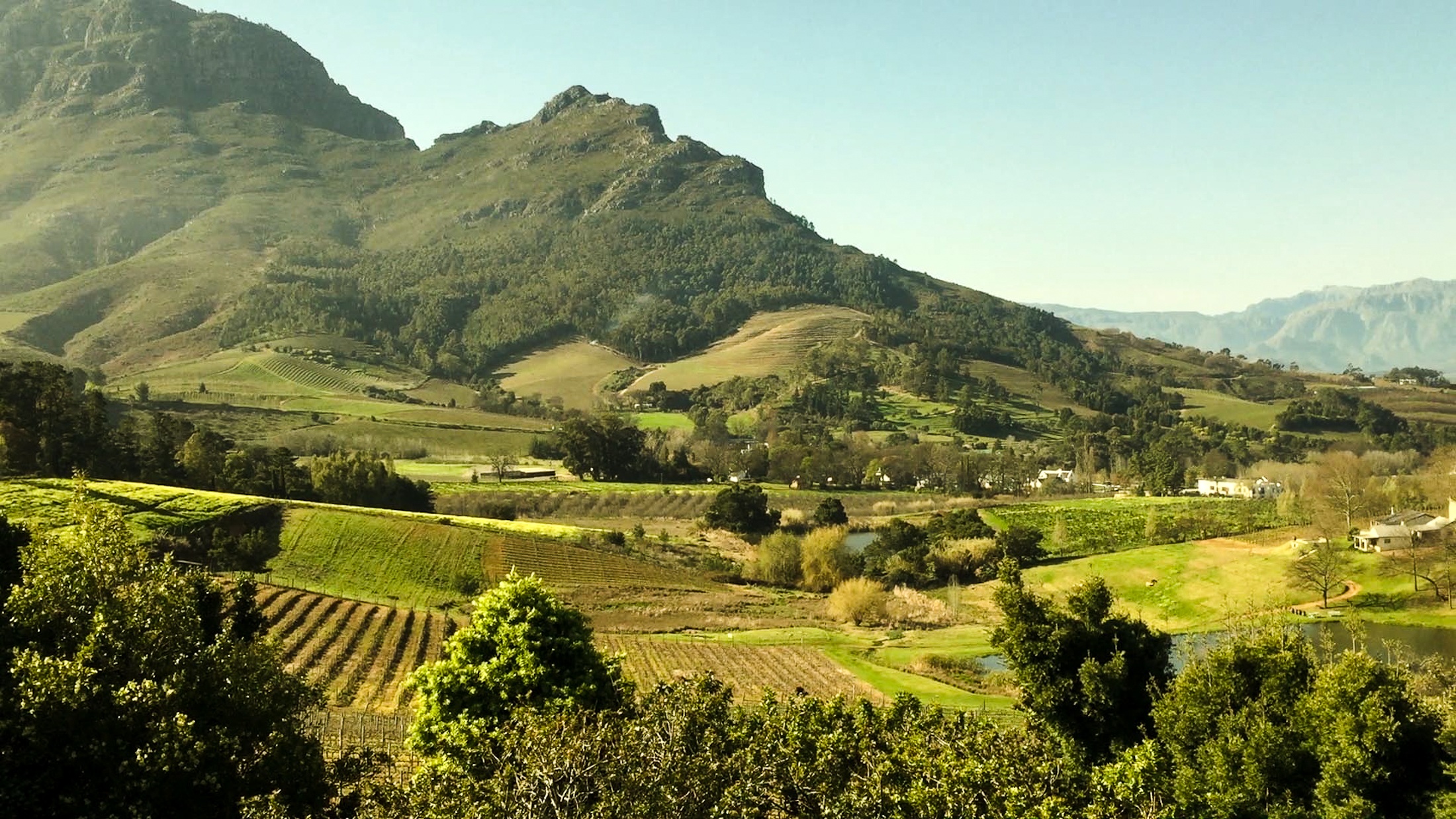 South Africa's Napa - the Cape Town Winelands