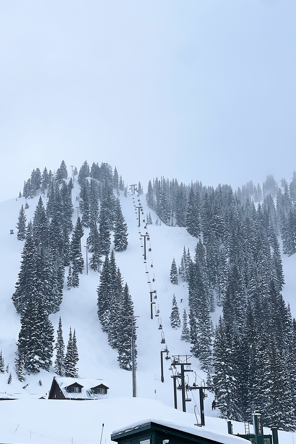 collins-lift-alta-ski-resort-guide