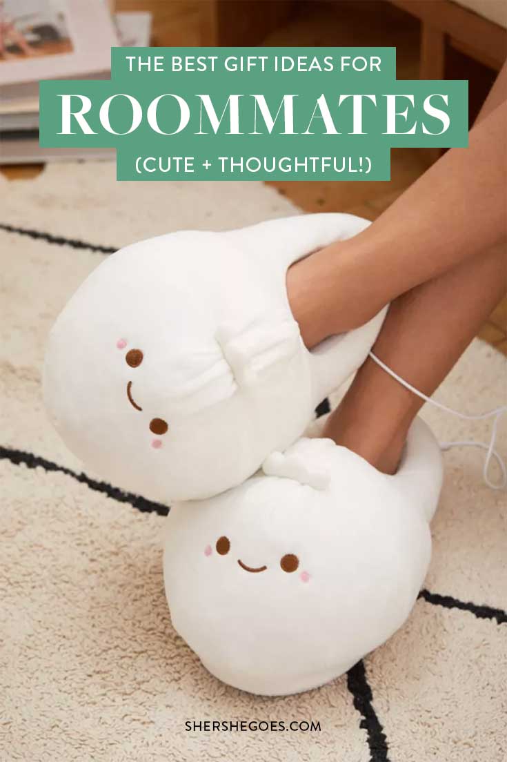 41+ Christmas Gift Ideas For Roommates 2021