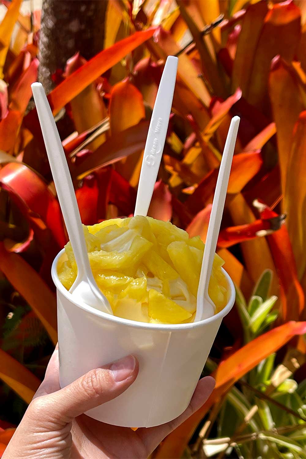 dole-whip-from-dole-plantation-oahu