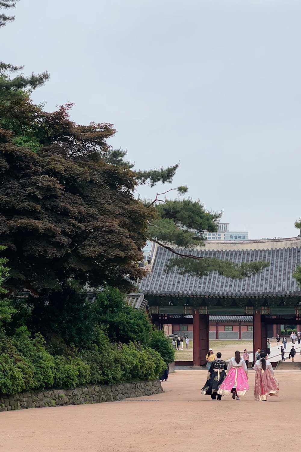dressing-up-in-hangbok-seouls-national-palaces