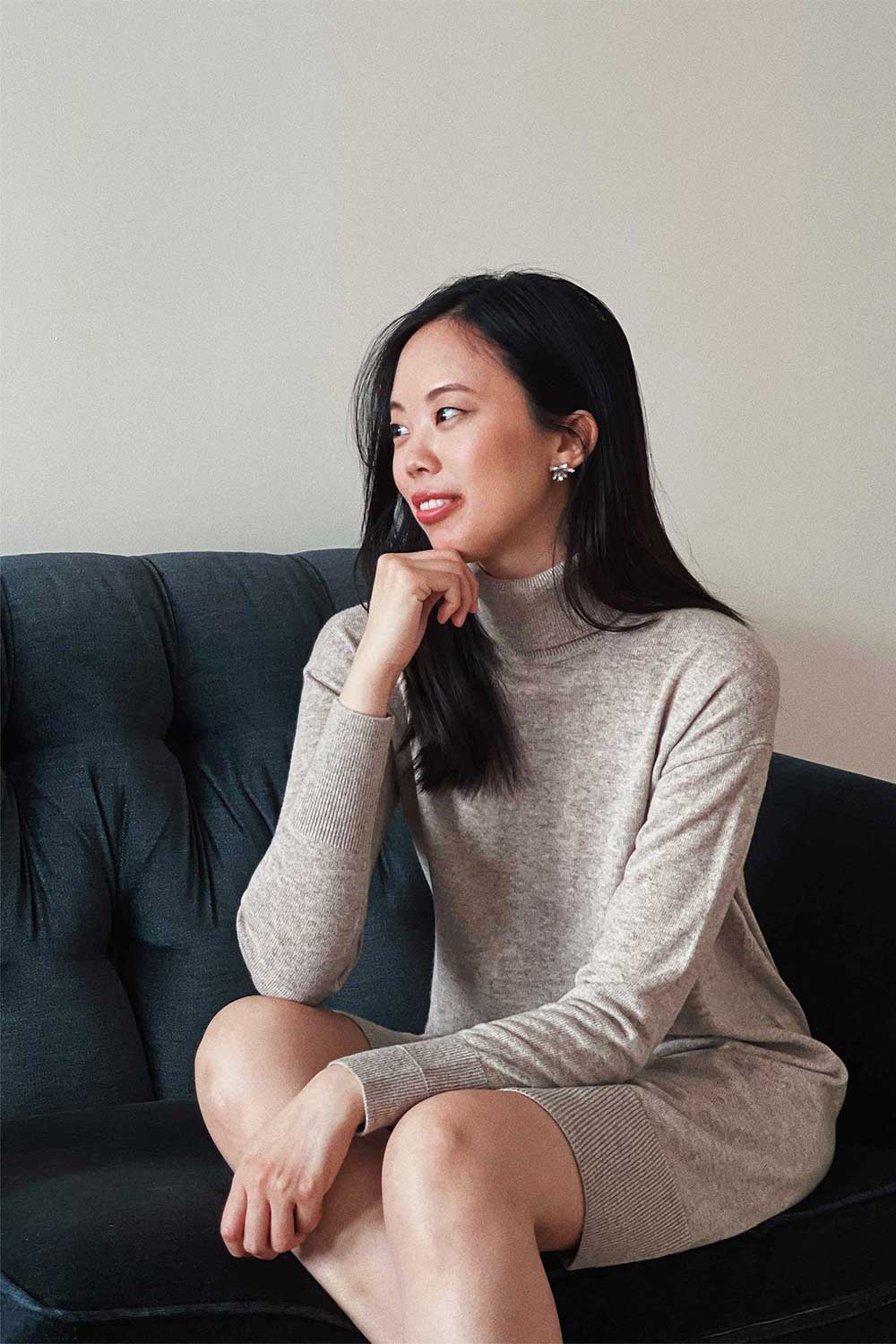 Everlane cashmere hot sale turtleneck dress