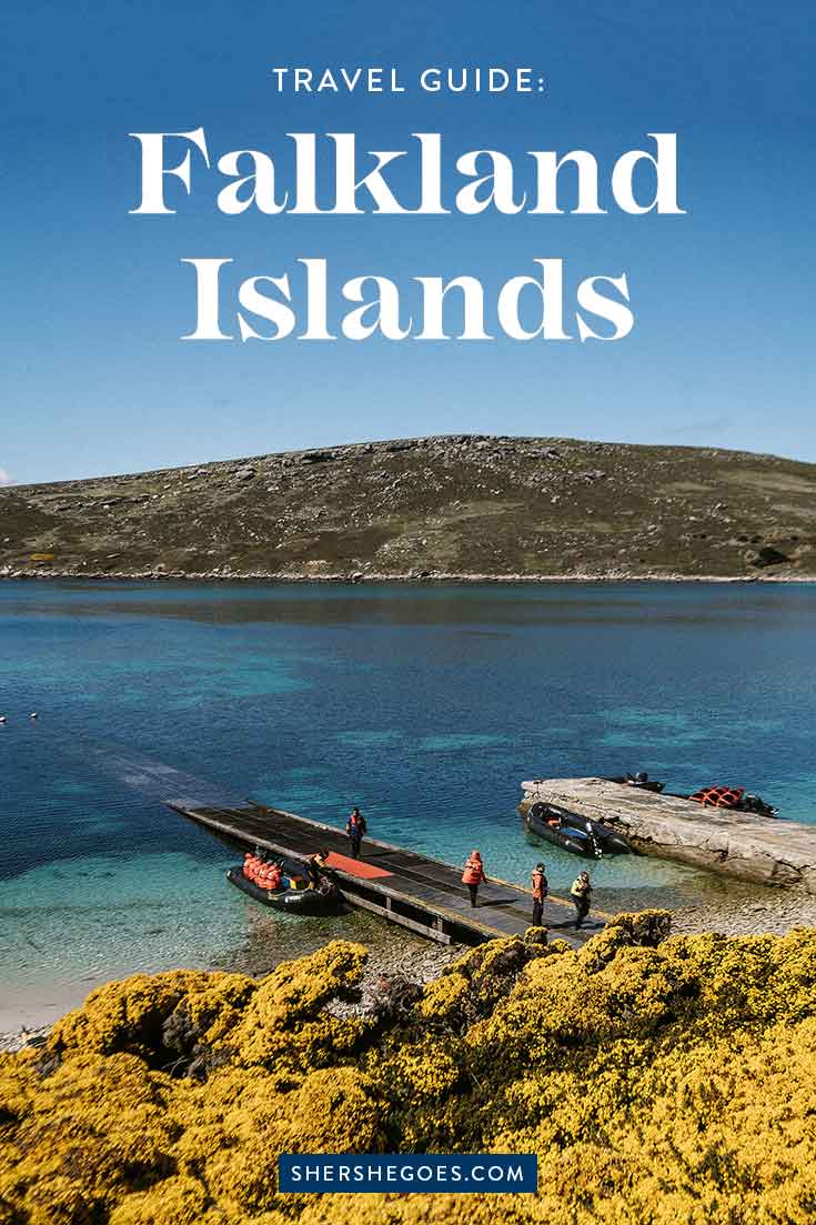 How to visit the Falkland Islands Guide