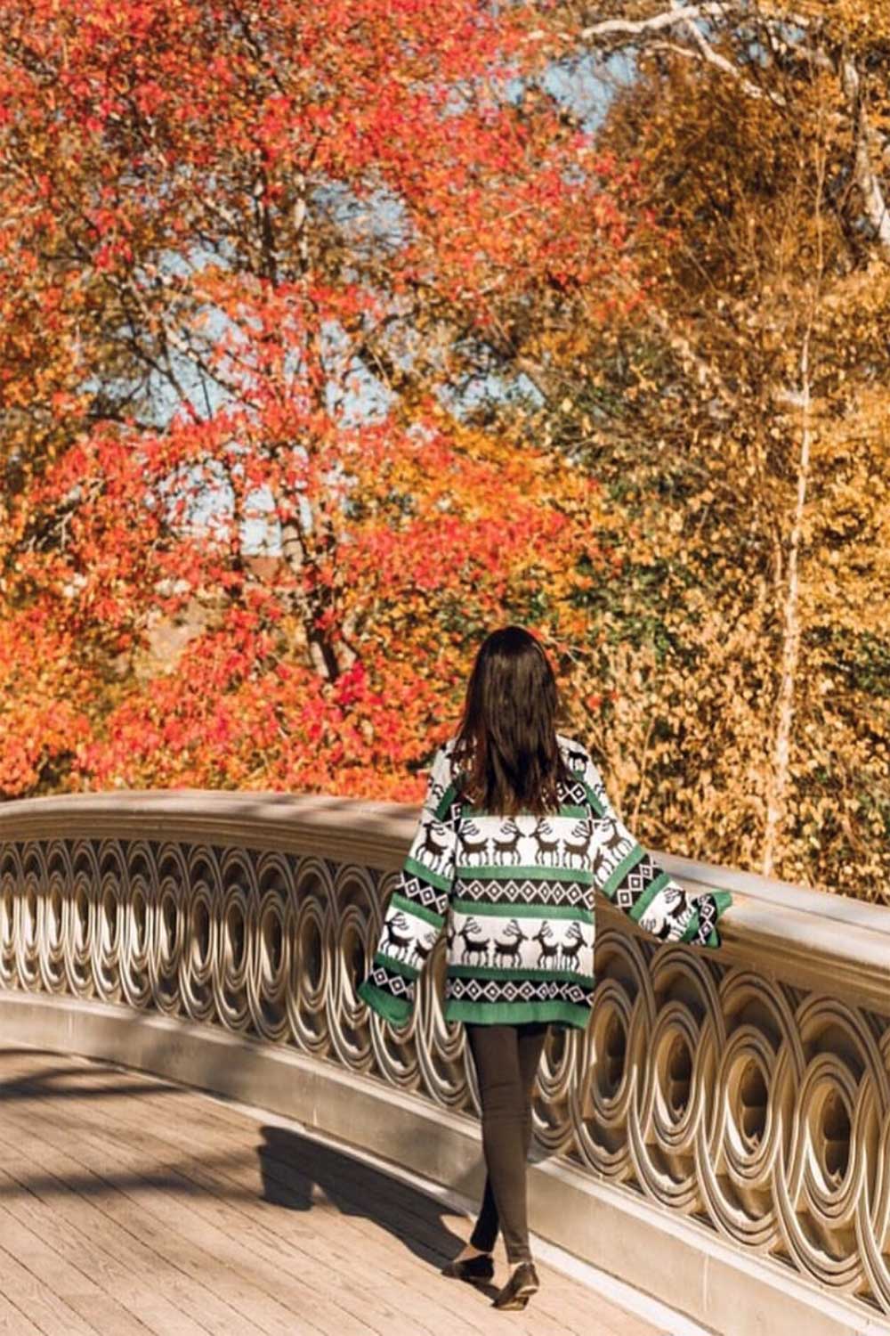 Autumn in New York City