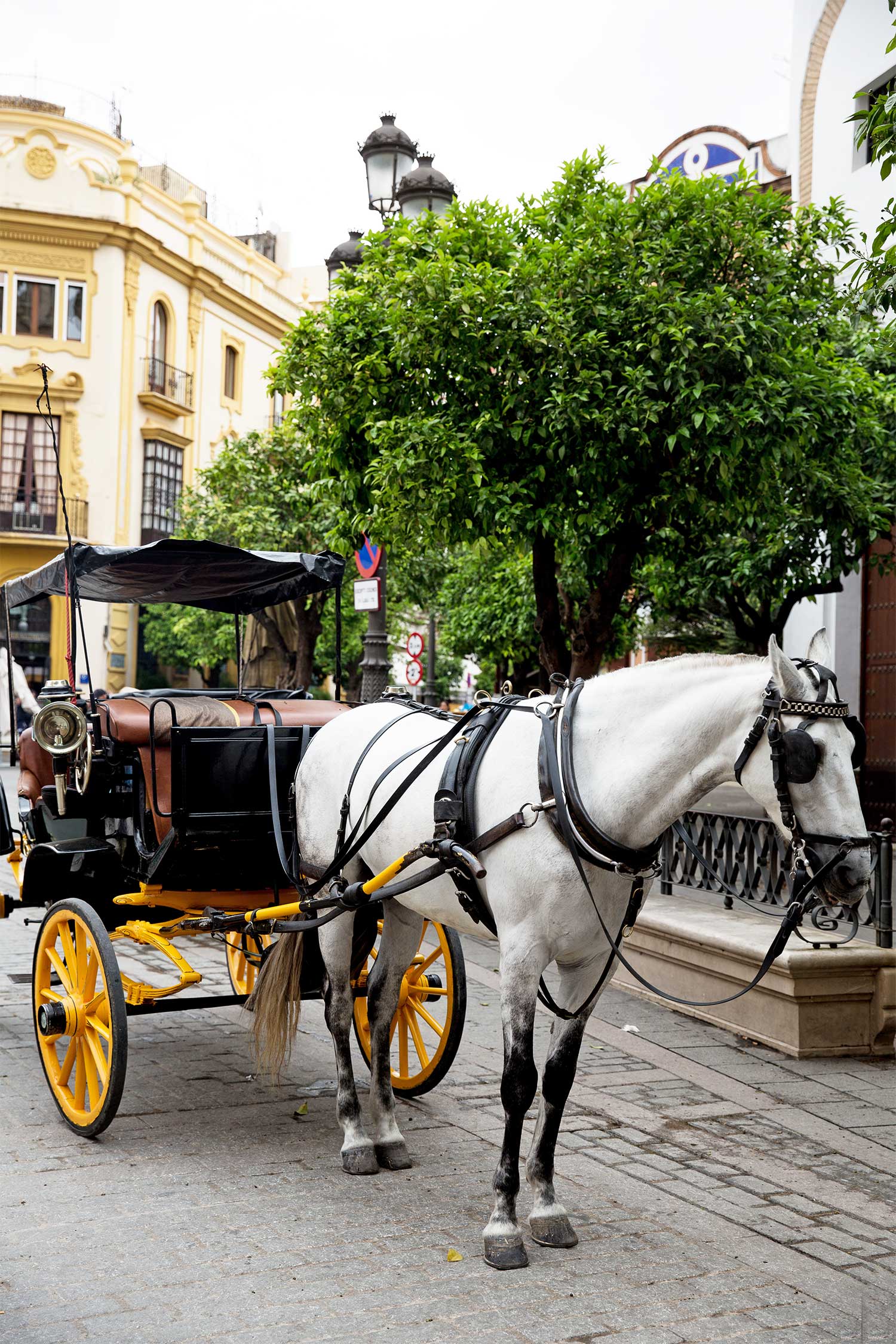 getting-to-seville-spain