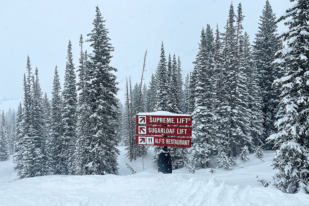 guide-to-alta-ski-resort