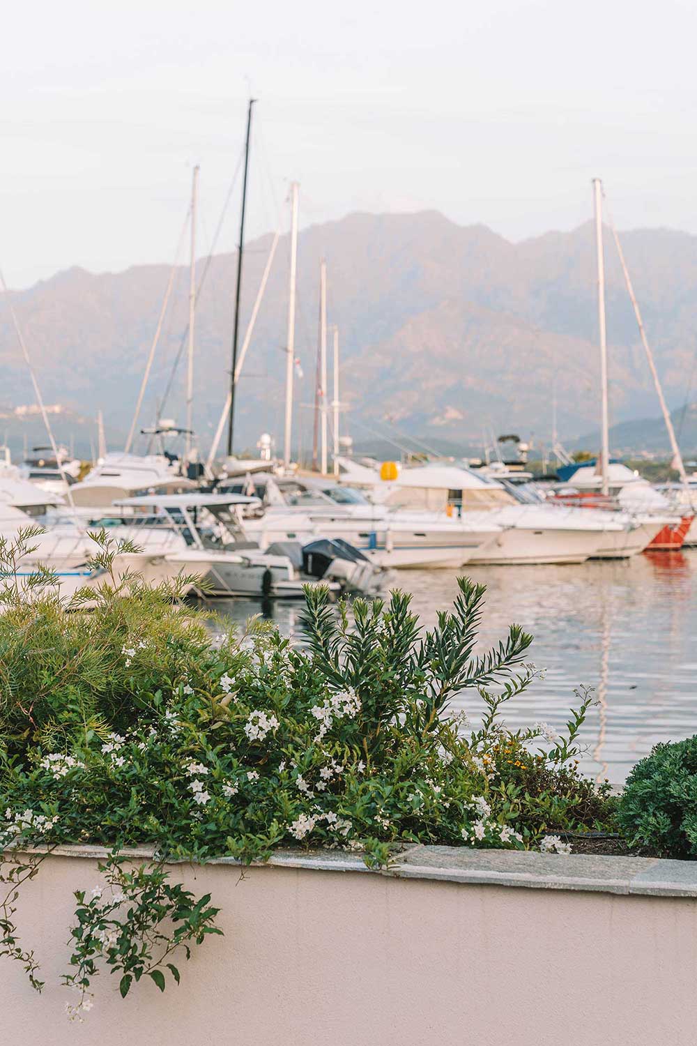 harbor-in-calvi-corsica-travel-guide