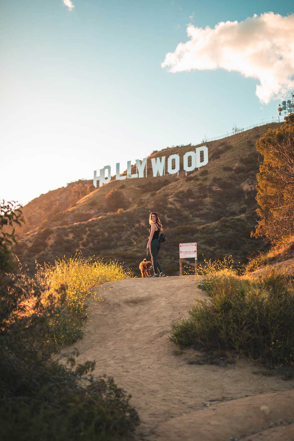 Melhor lugar para tirar foto do Hollywood Sign - Visita Aí