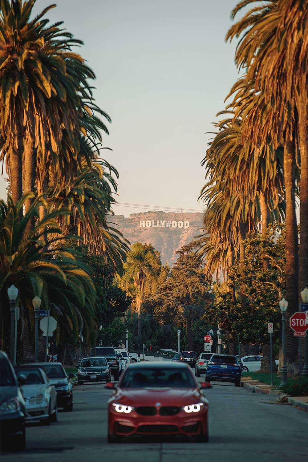 hollywood-sign-photo-spot-between-palm-trees