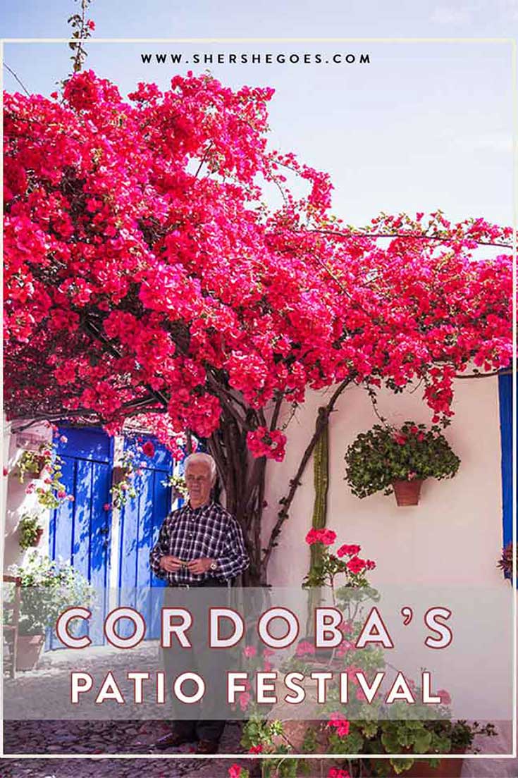 how-to-visit-the-cordoba-patio-festival