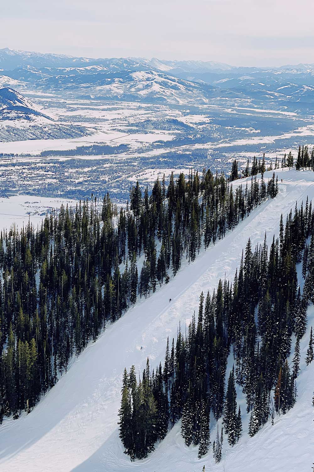 Steep & Deep Camps - Jackson Hole Mountain Resort