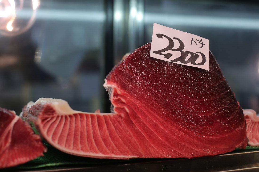 japan-tokyo-tsukiji-fish-market-tuna-octopus-shershegoes.com (2)