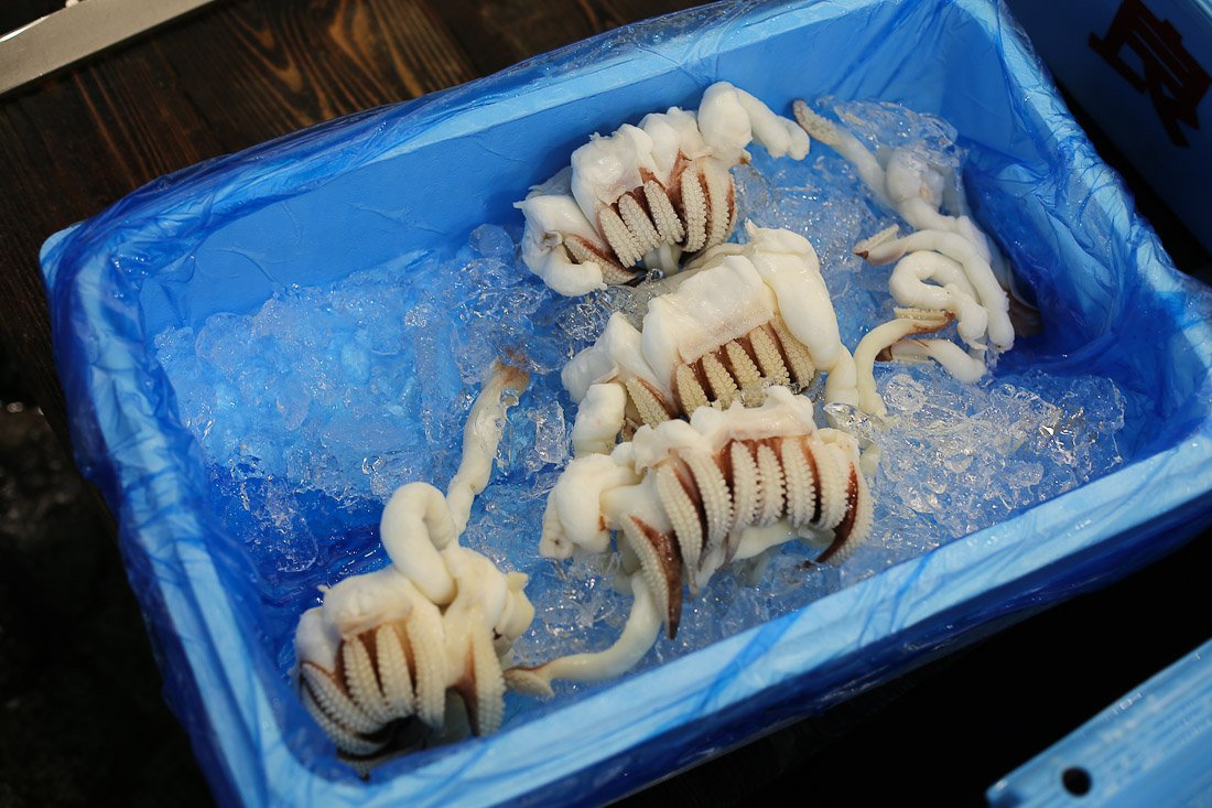 japan-tokyo-tsukiji-fish-market-tuna-octopus-shershegoes.com (4)