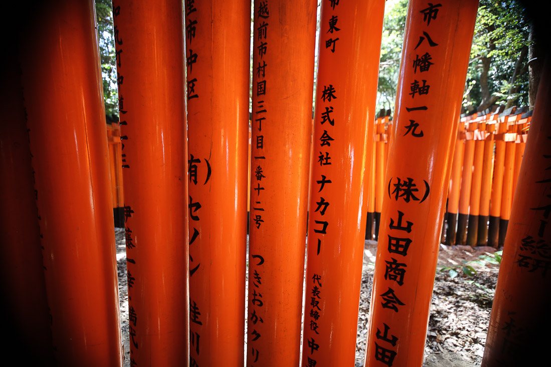 kyoto japan japanese travel fushimi inari shrine temple orange tori gate fox photo shershegoes.com10