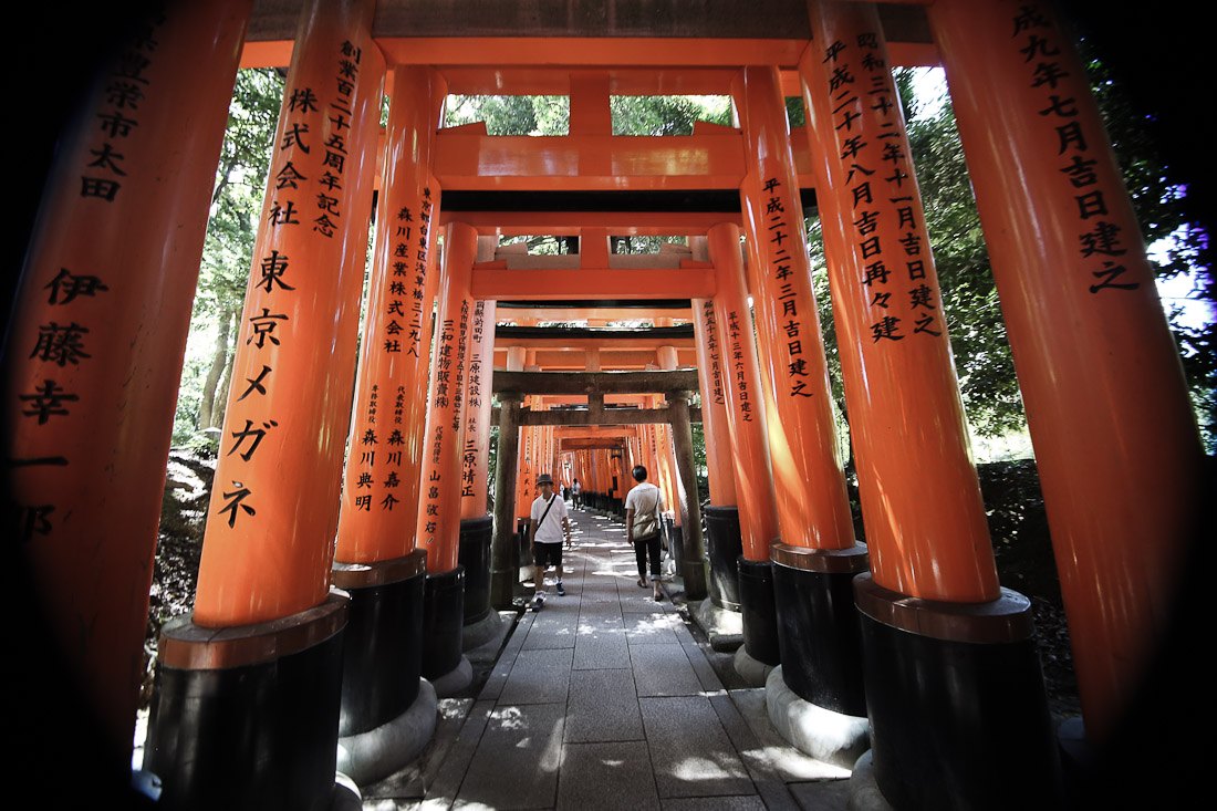 F/S Fushimi Inari Shrine Torii Gate Two White Fox Kitchen Magnet Kyoto Japan 