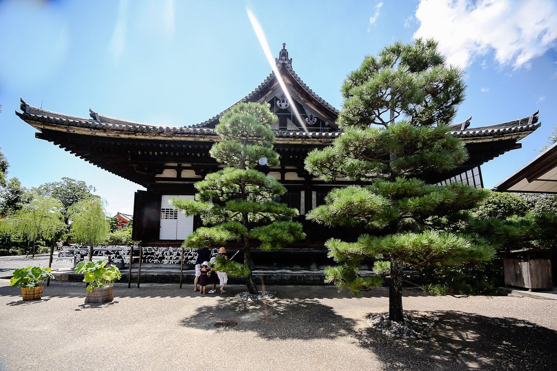 kyoto japan japanese tour tourist travel temple sanjusangendo wooden buddha statues kannon sher she goes orange pray prayer