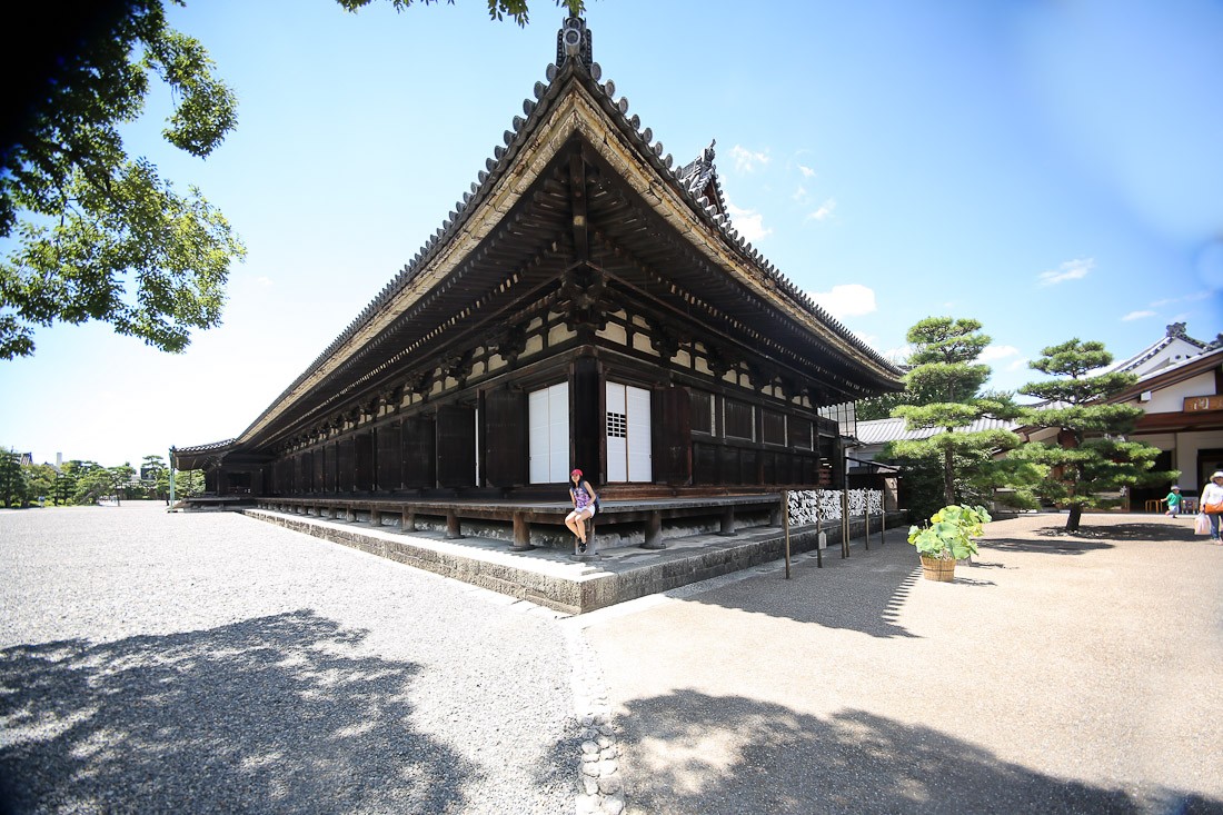 kyoto japan japanese tour tourist travel temple sanjusangendo wooden buddha statues kannon sher she goes orange pray prayer