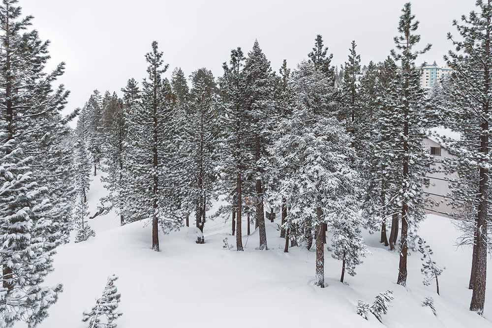 lake-tahoe-ski-resorts