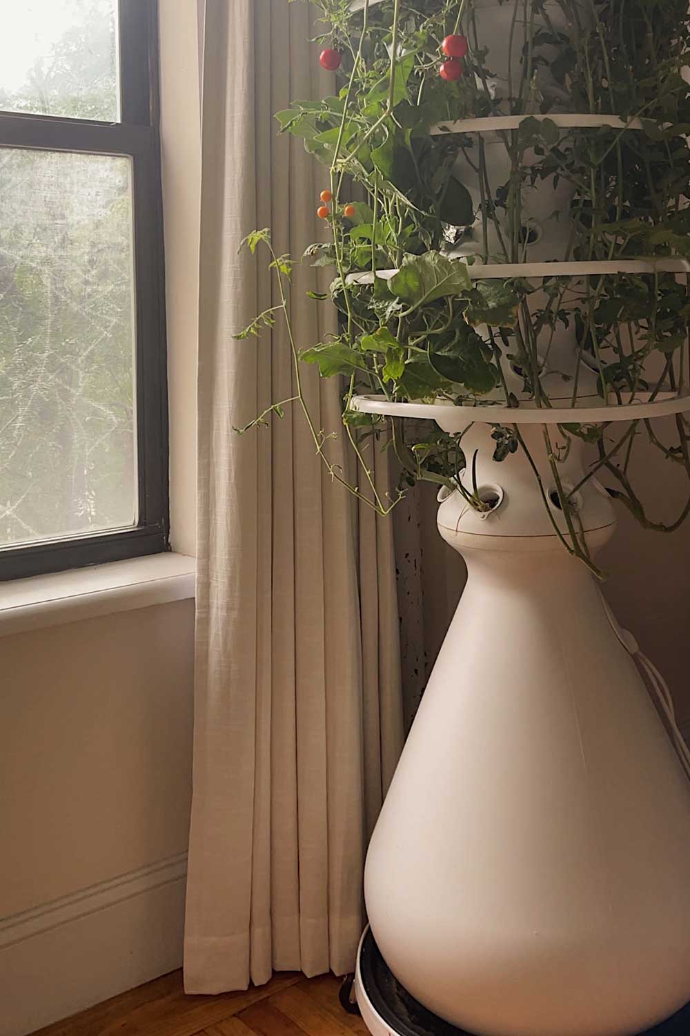 linen-curtains-custom-length-just-skim-exactly-above-floor